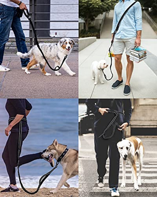 犬用リード 7