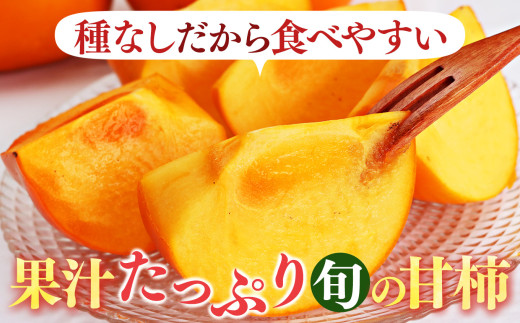 たねなし柿 2