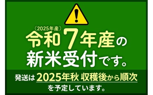 定期便12ヶ月 秋田県産あきたこまち5kg 無洗米 2