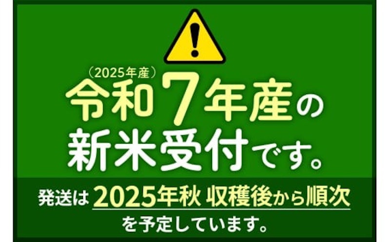 定期便12ヶ月 秋田県産あきたこまち5kg 無洗米 2