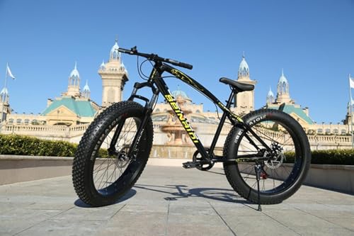 20インチのファットバイクのおすすめ人気ランキング【2025年 20インチのファットバイクのおすすめ人気ランキング【2025年