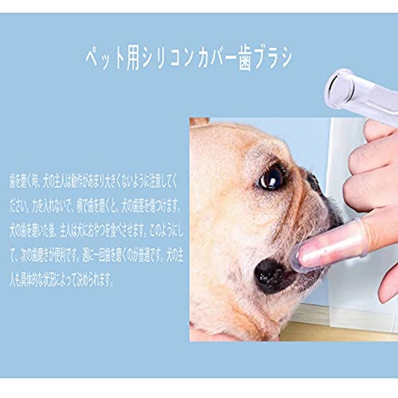 ベビーセット歯ブラシ 5