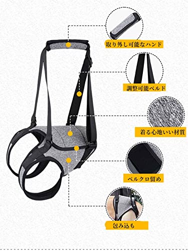 犬用介護ハーネス 5