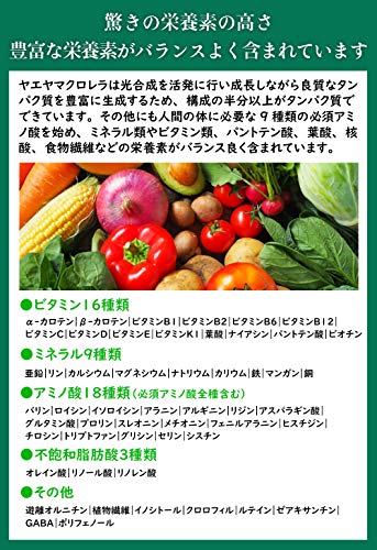 八重山クロレラ 5