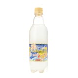 レモン炭酸水のおすすめ人気ランキング【2026年9月】 5