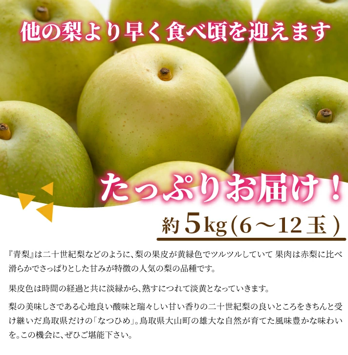なつひめ梨 3