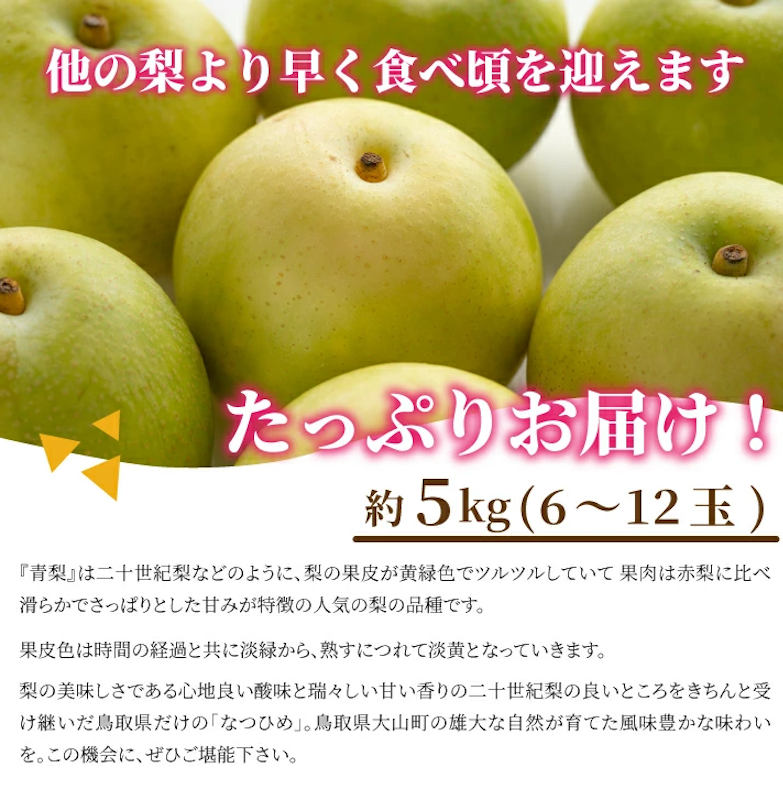 なつひめ梨 3