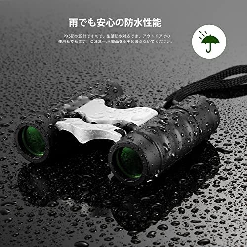 双眼鏡 5