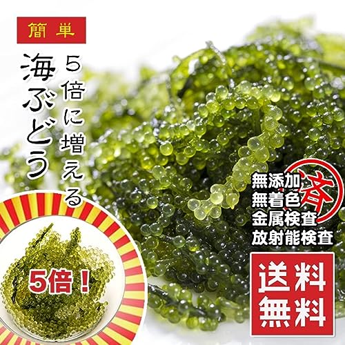 海ぶどう 2