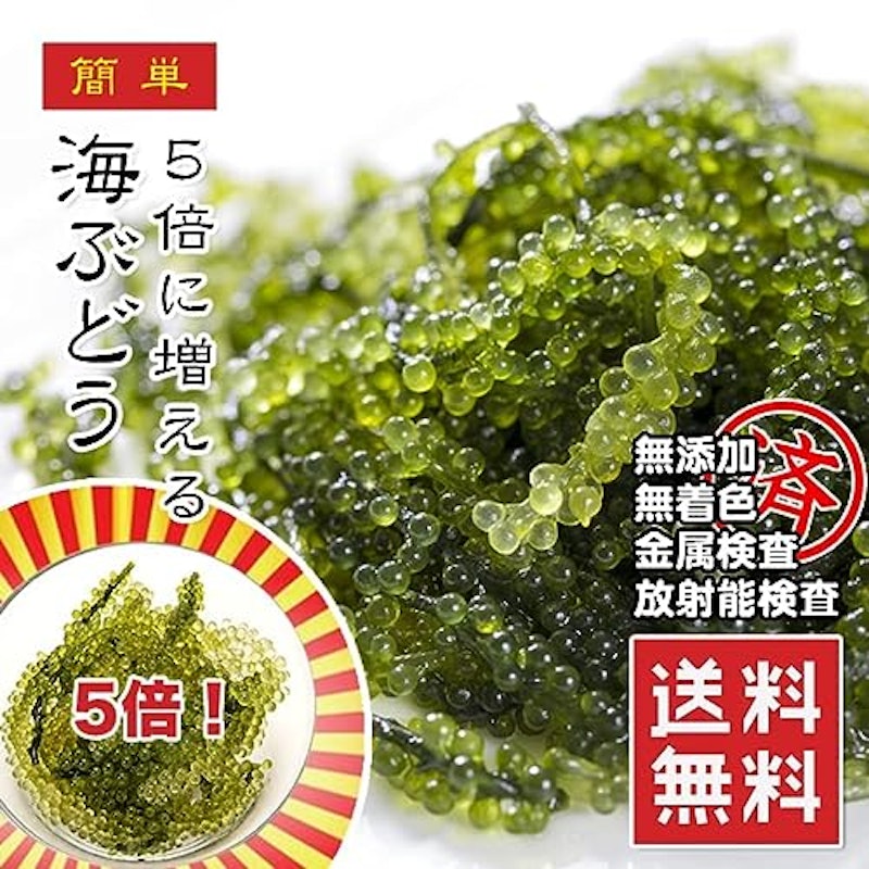 海ぶどう 2