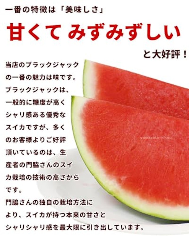すいか ブラックジャック 2