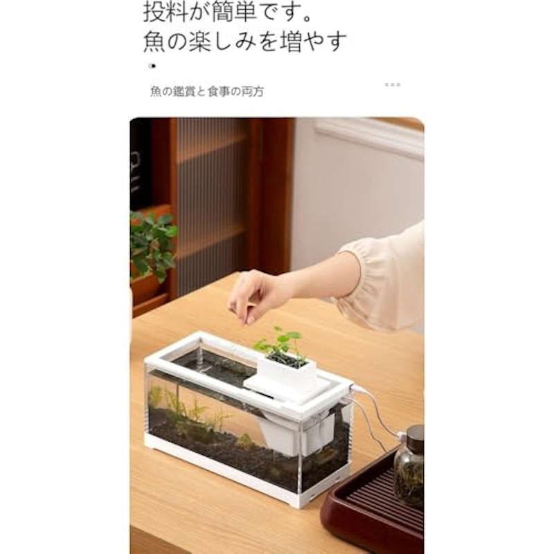 デスクトップ小型水槽セット 3