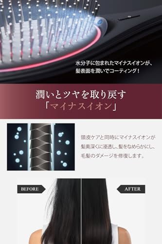 EMSブラシ 4