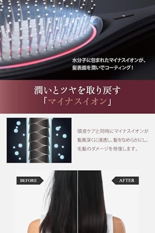 EMSブラシ 4