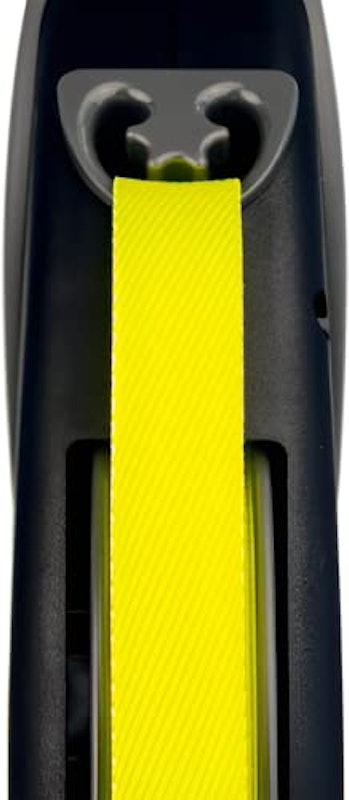 ジャイアント テープ L 6