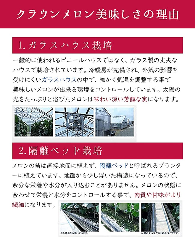 静岡産 クラウンマスクメロン 3