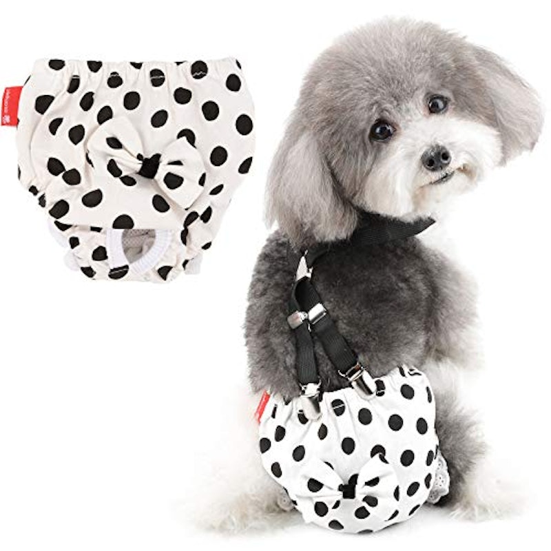 犬用オムツパンツ 1