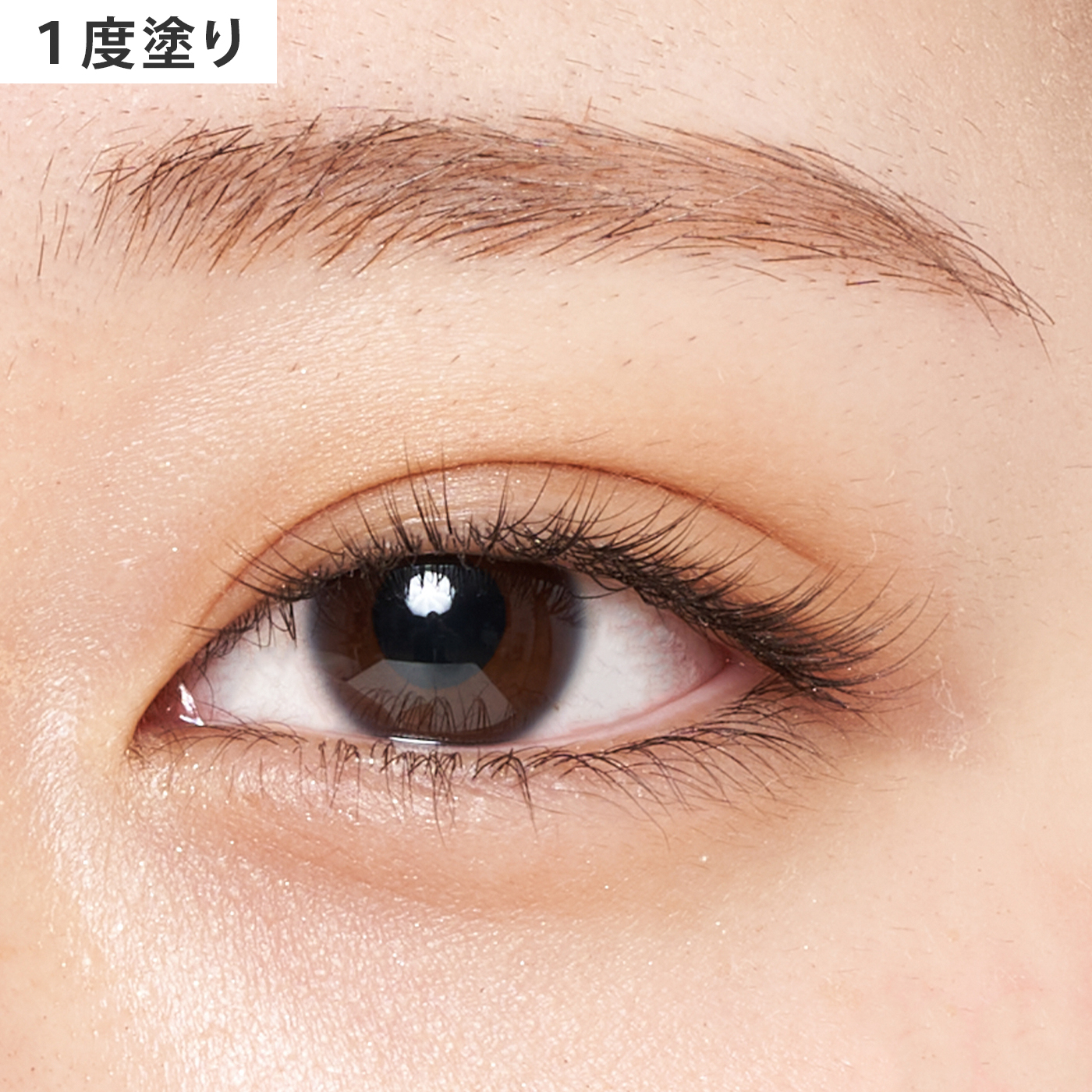 ケイト ザ アイカラー 039をレビュー！クチコミ・評判をもとに徹底検証