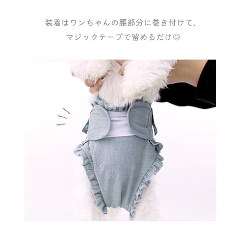 マナーパンツ 3