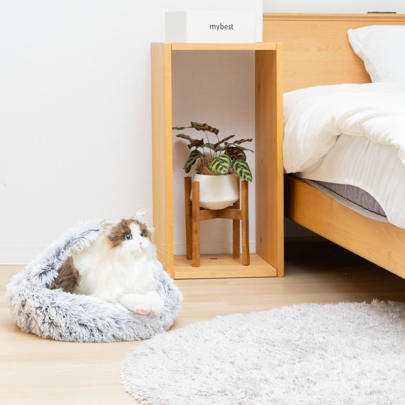 猫用ベッド 5