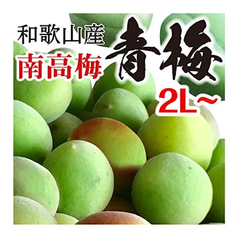 和歌山県産 南高梅 1