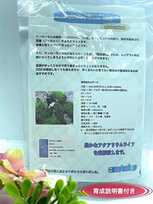 ウィローモス 3