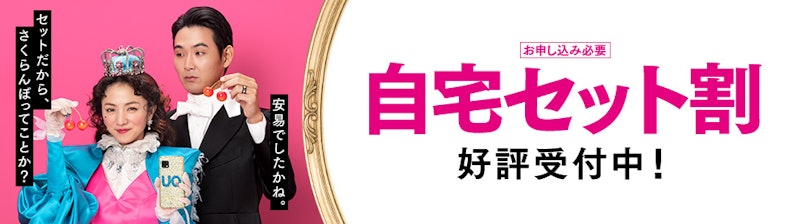 自宅セット割(UQ mobile×auひかり) 2