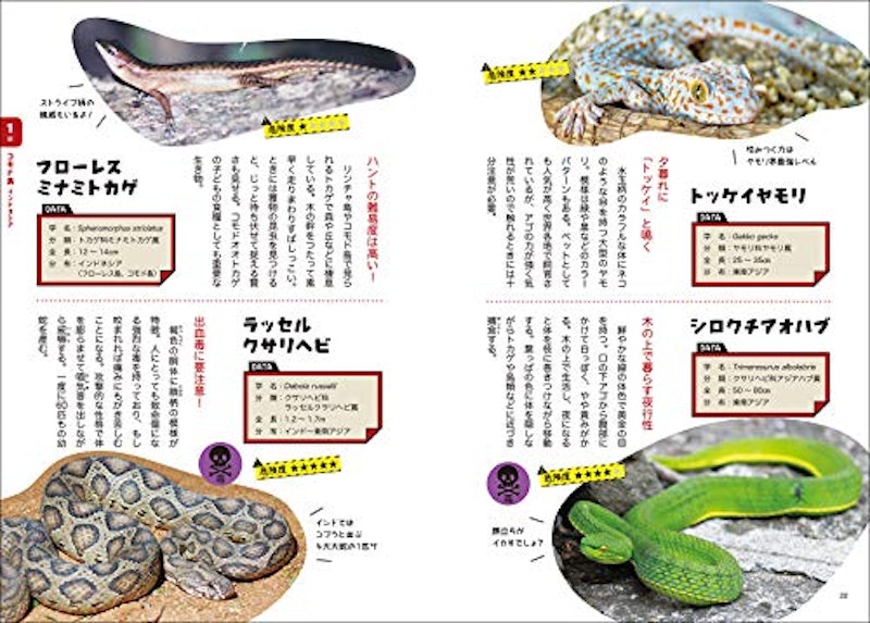 マンガでわかる!世界のすごい爬虫類 5
