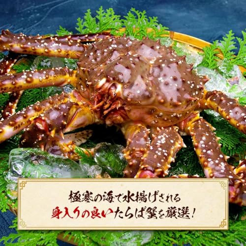 超特大サイズたらばがに足 7