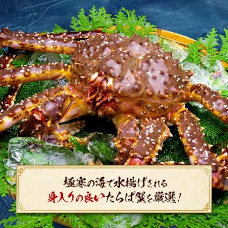 超特大サイズたらばがに足 7