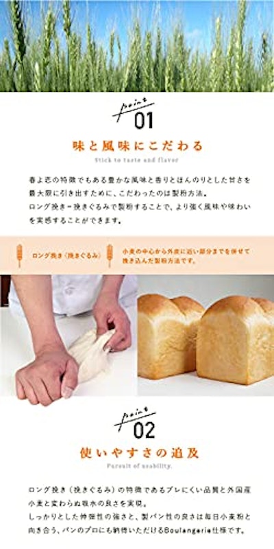 強力粉 春よ恋100Advance 3
