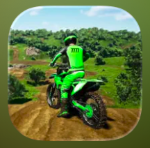 Freestyle Motocross Skill 3D 1
