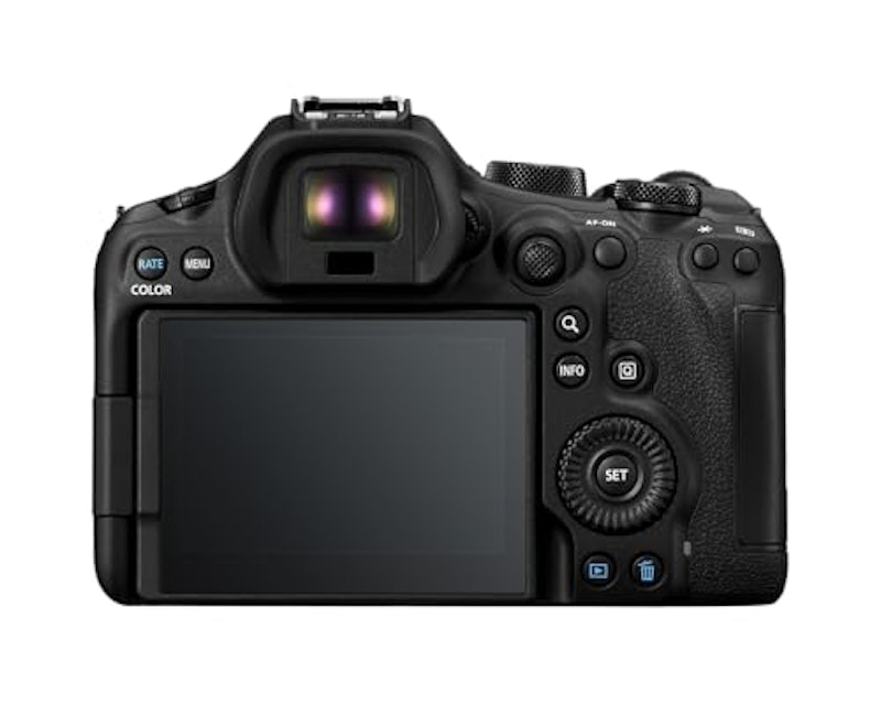 R6 Mark III 4