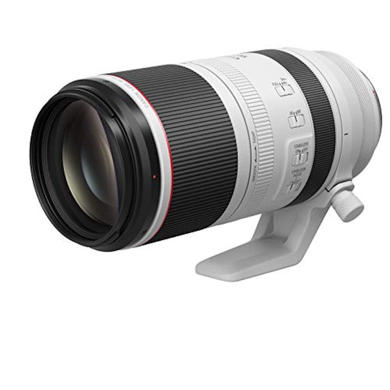 RF100-500mm F4.5-7.1 L IS USM 3