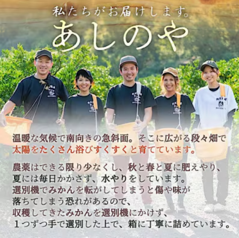 和歌山の有田みかん 3
