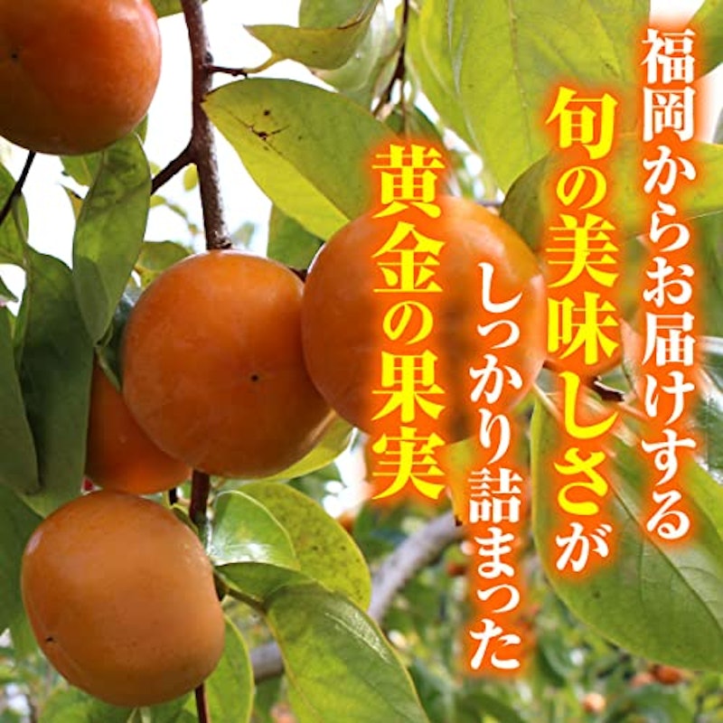 富有柿 2