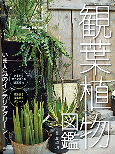観葉植物図鑑 今人気のインテリアグリーン 1