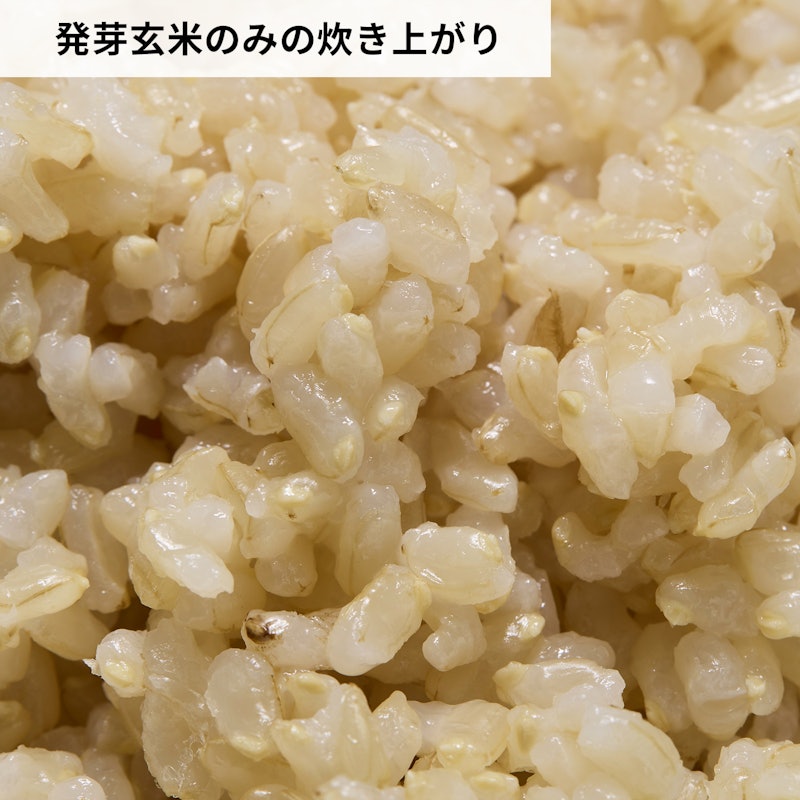 あきたこまち発芽玄米 6