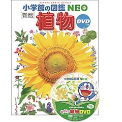 21年 植物図鑑のおすすめ人気ランキング15選 Mybest 21年 植物図鑑のおすすめ人気ランキング15選 Mybest