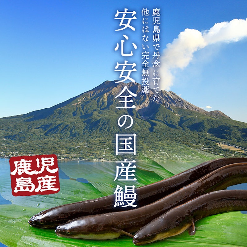 うなぎ蒲焼 5