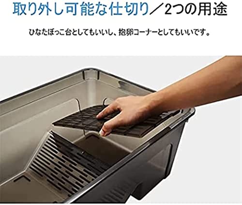 タートルボックス 5