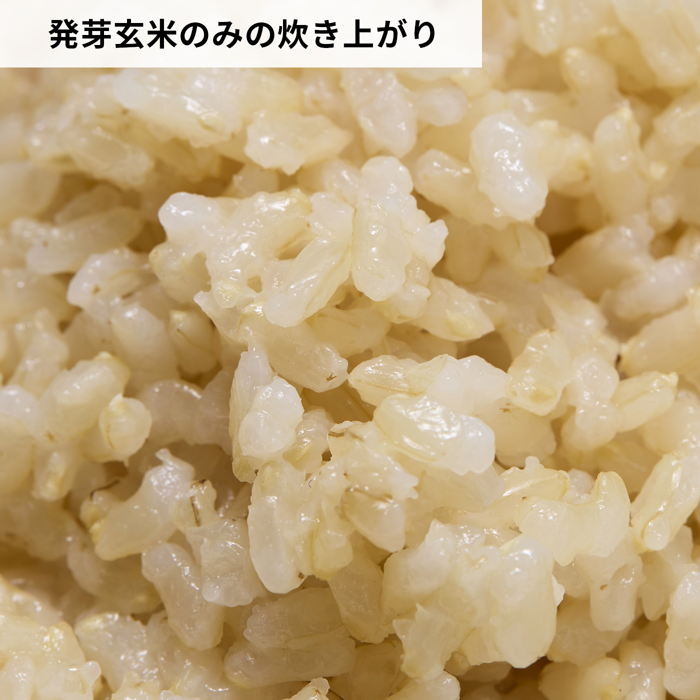こだわり発芽玄米 6