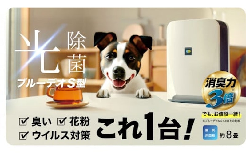 ブルーデオS型 1
