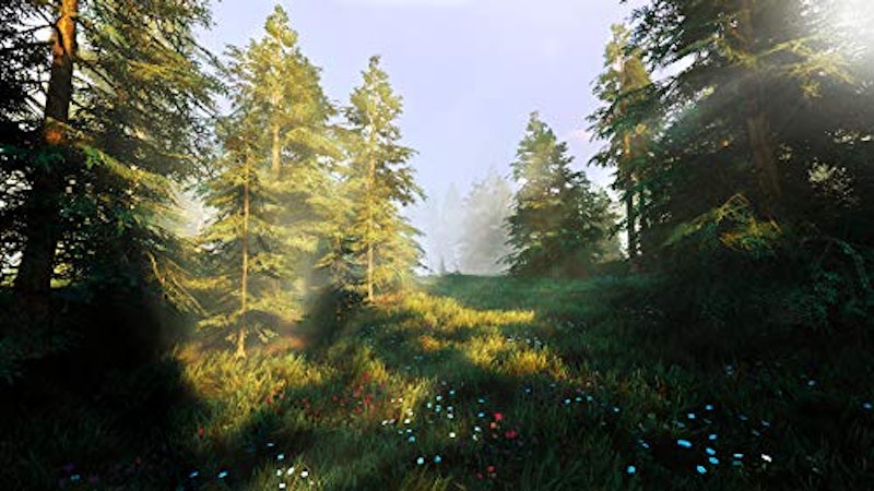 HUNTING SIMULATOR 2 2