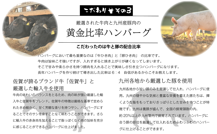 佐賀牛入り熟成ハンバーグ 5