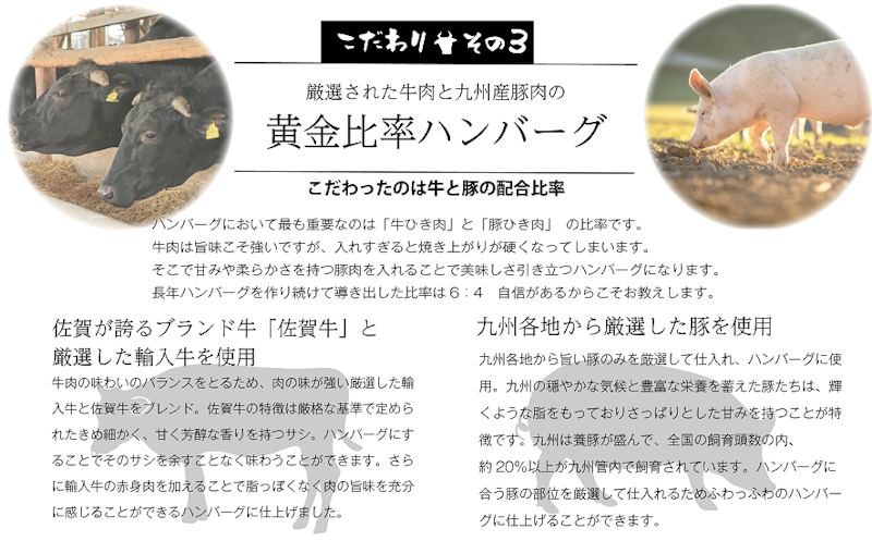 佐賀牛入り熟成ハンバーグ 5