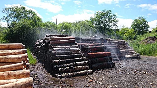 純国産しらかば楊枝 5