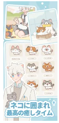 ネコとの出会い 2