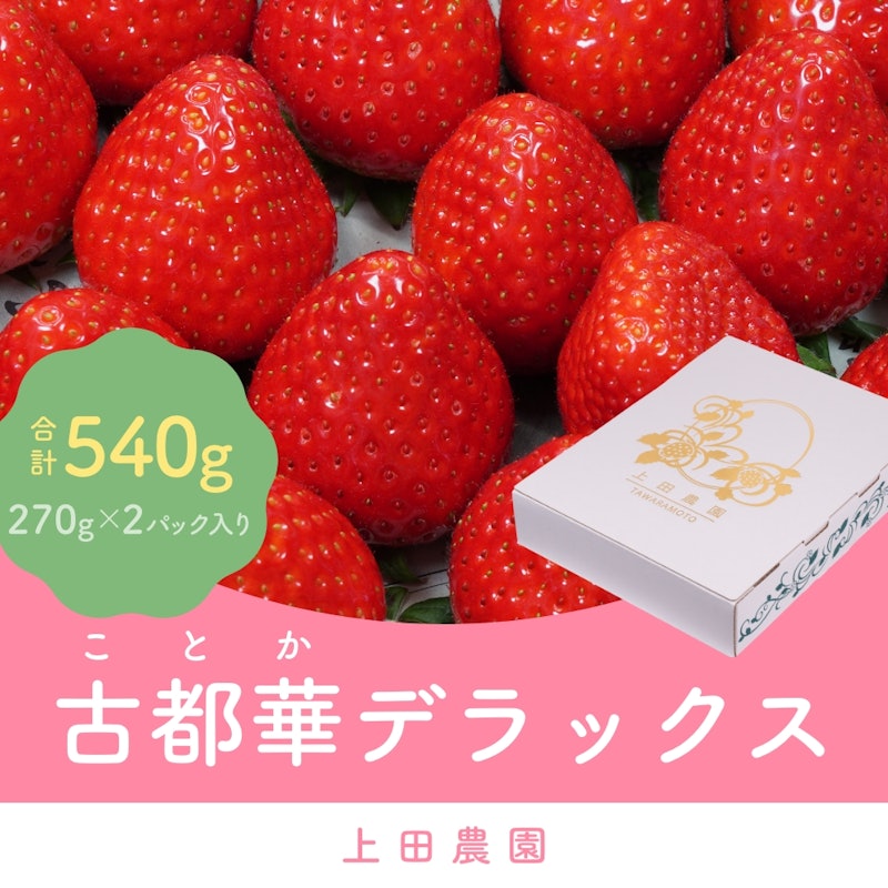 古都華 デラックス 1