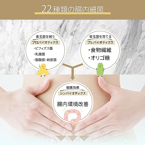 キントフォービオ 6